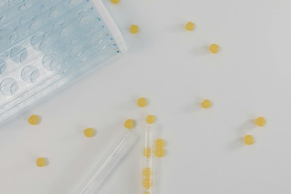 Où acheter de l'huile de chanvre en ligne ? découvrez notre guide expert